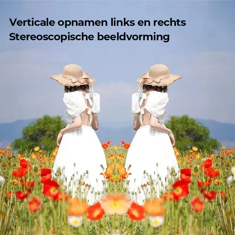Miniatuur 6