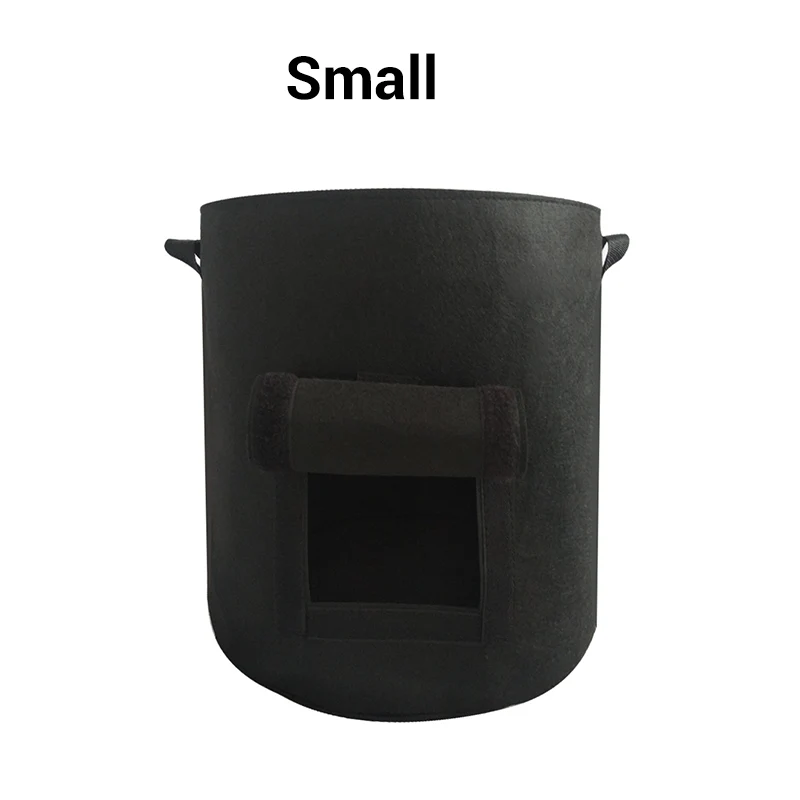 Miniatuur 23
