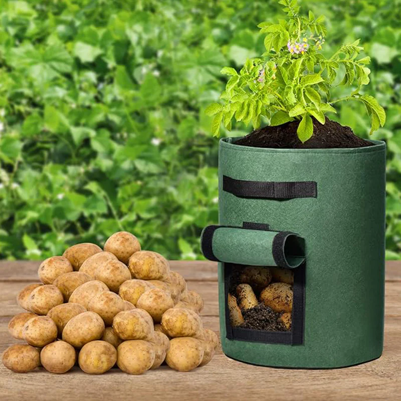 Miniatuur 3