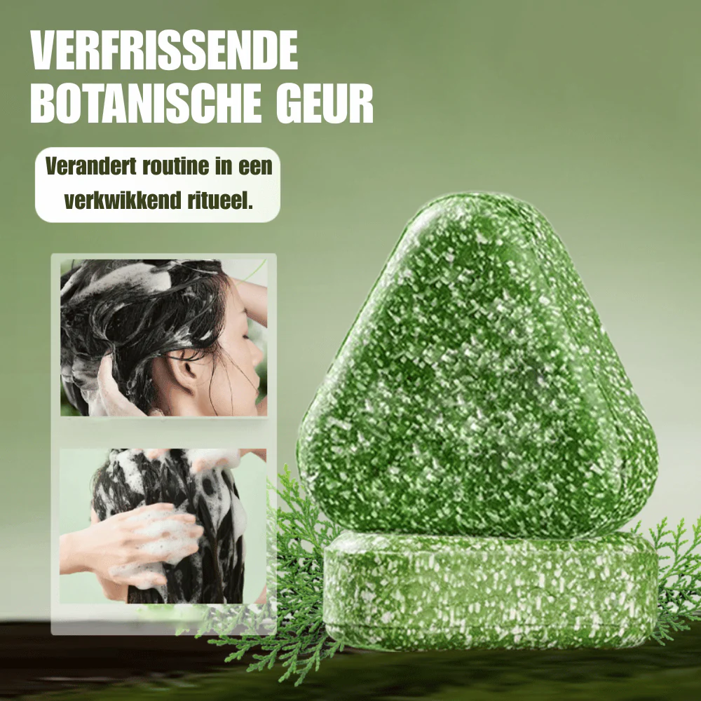 Miniatuur 2