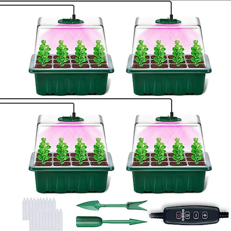 Miniatuur 13