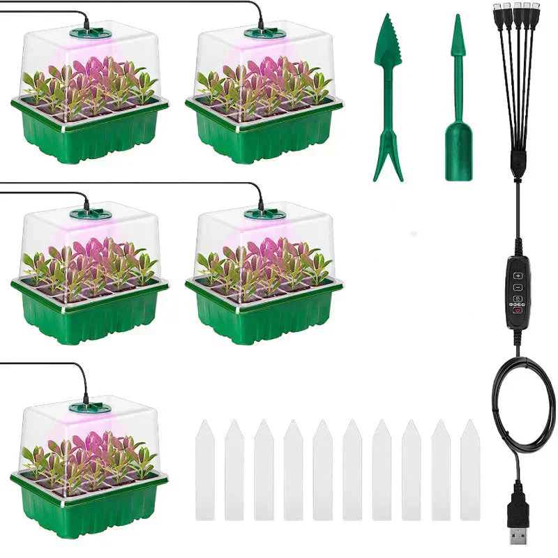 Miniatuur 14