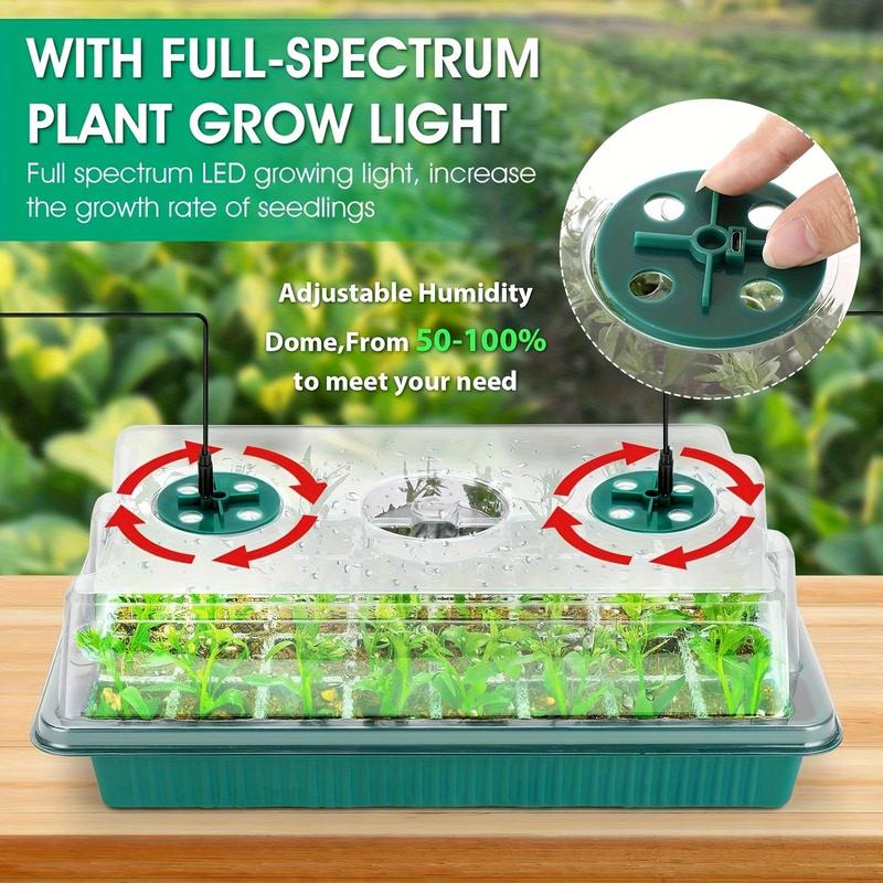 Miniatuur 16