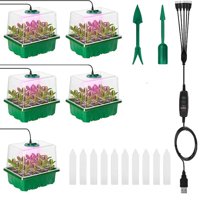 Miniatuur 18