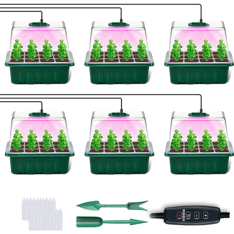 Miniatuur 19