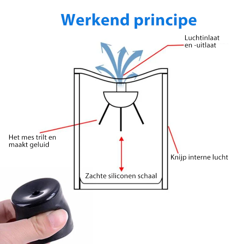 Miniatuur 4