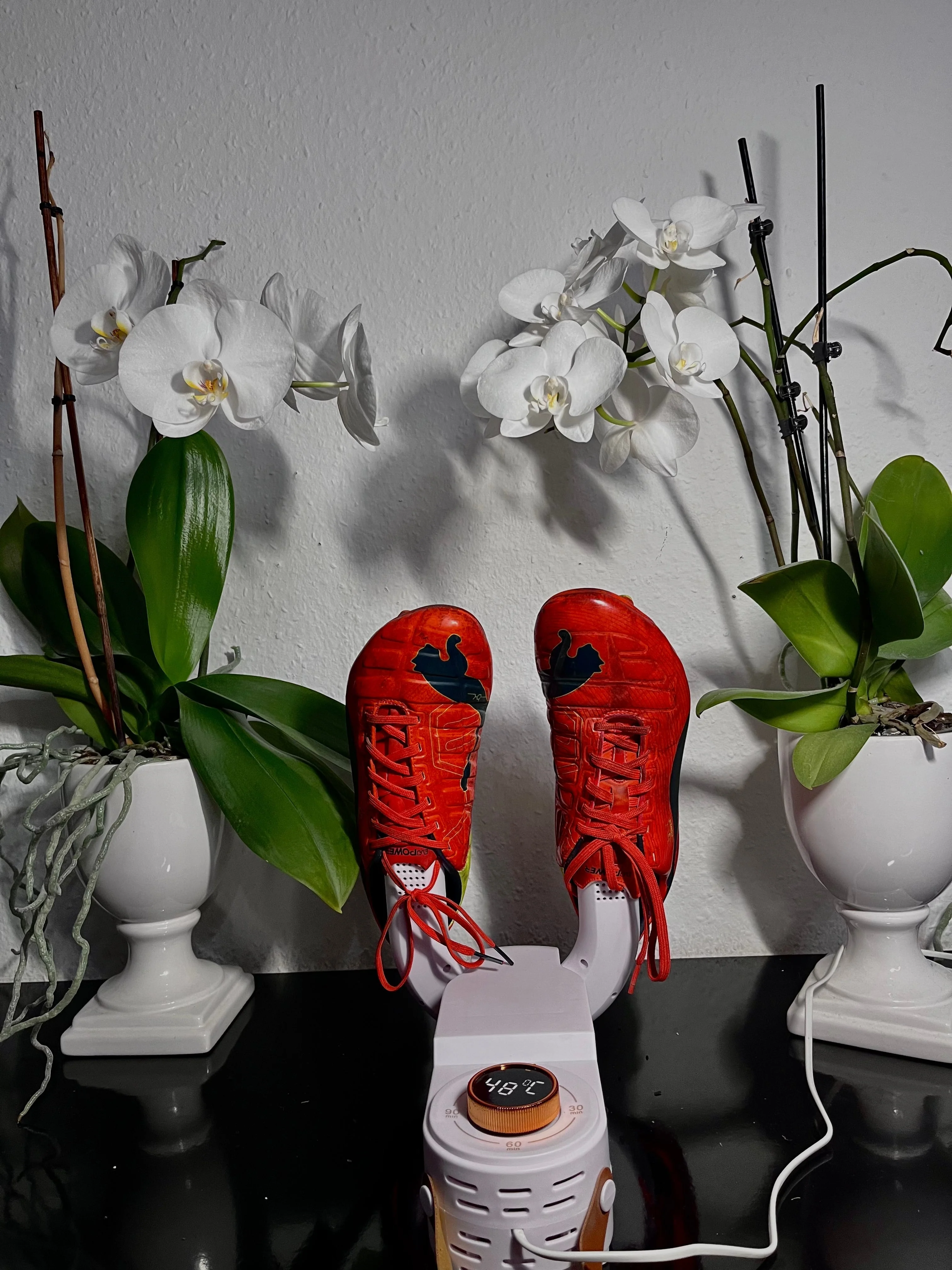 Miniatuur 4
