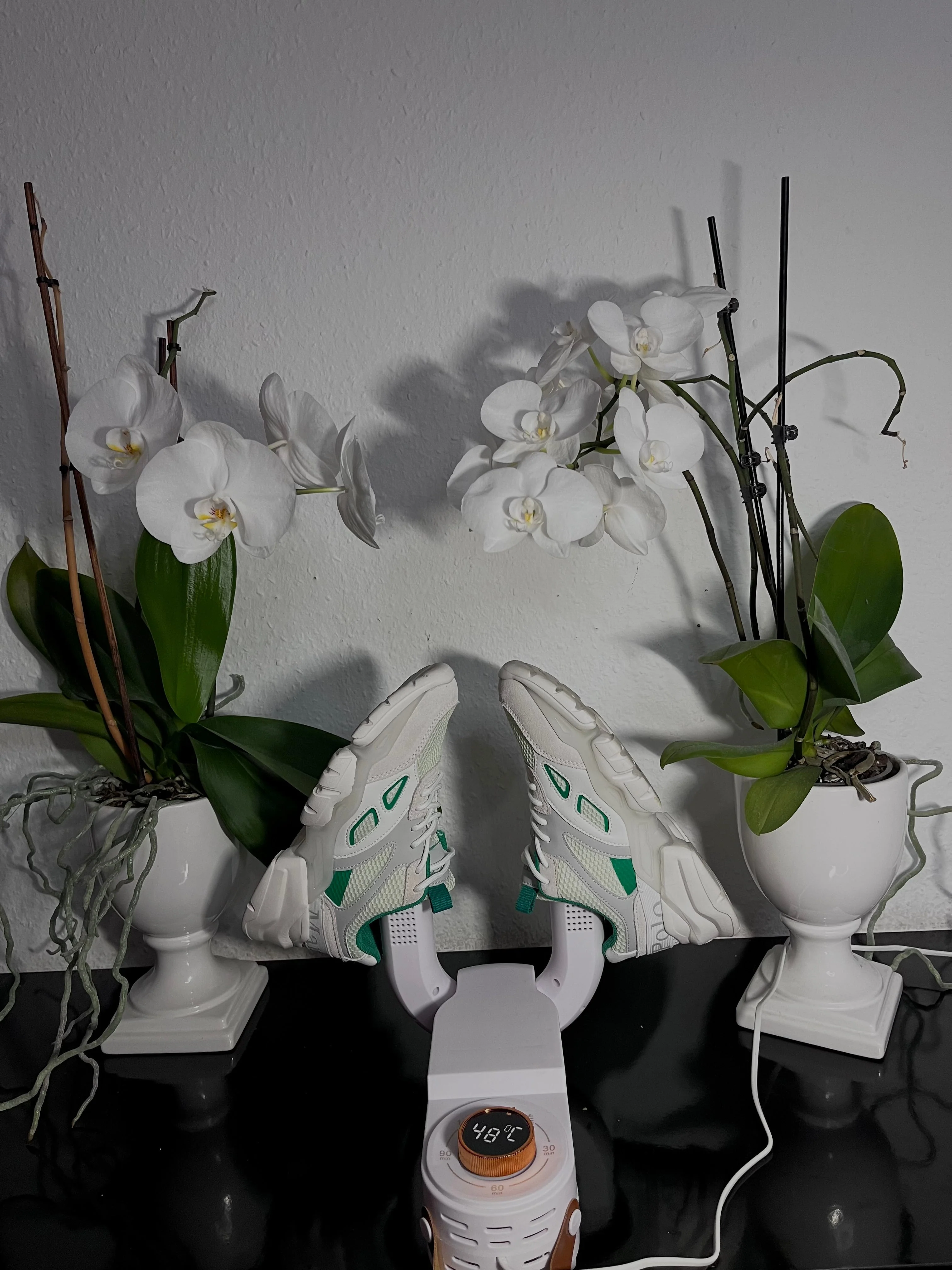 Miniatuur 7