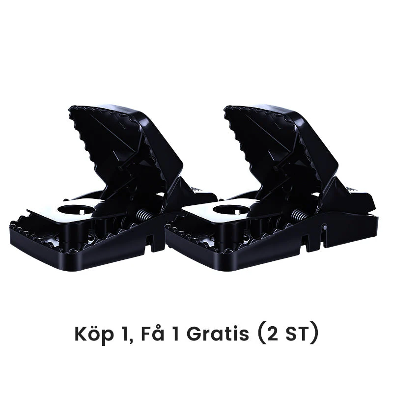 Miniatuur 3