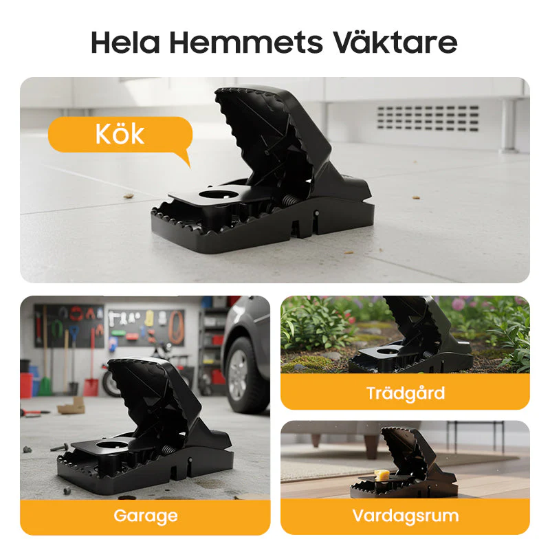 Miniatuur 7