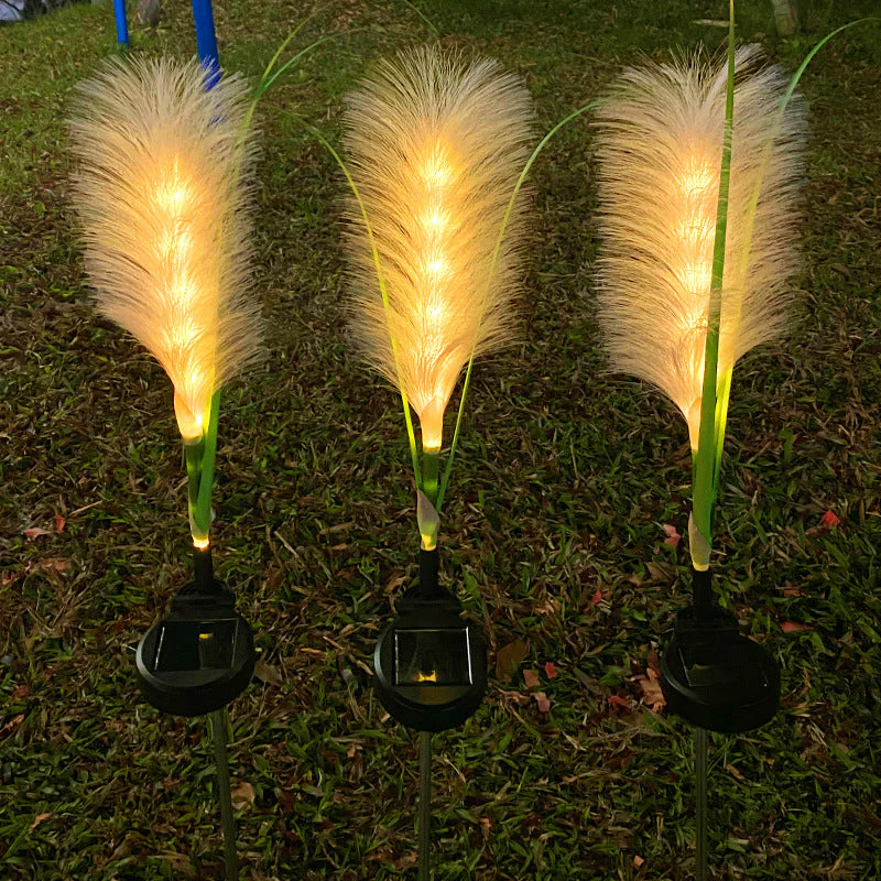 Miniatuur 2