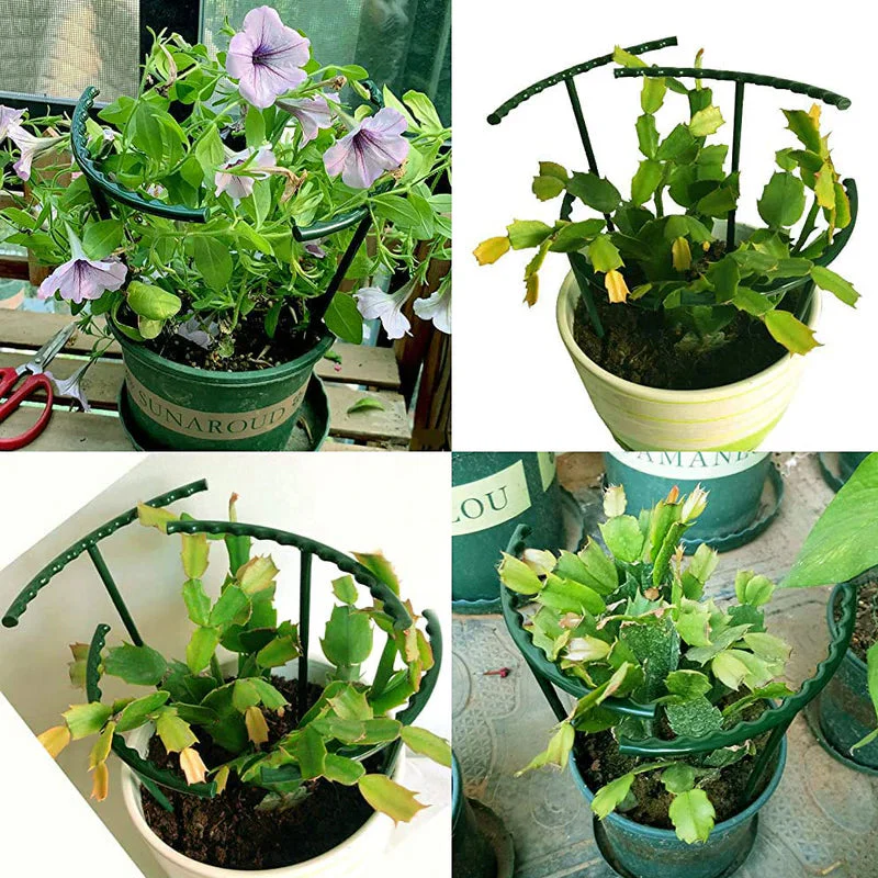Miniatuur 7