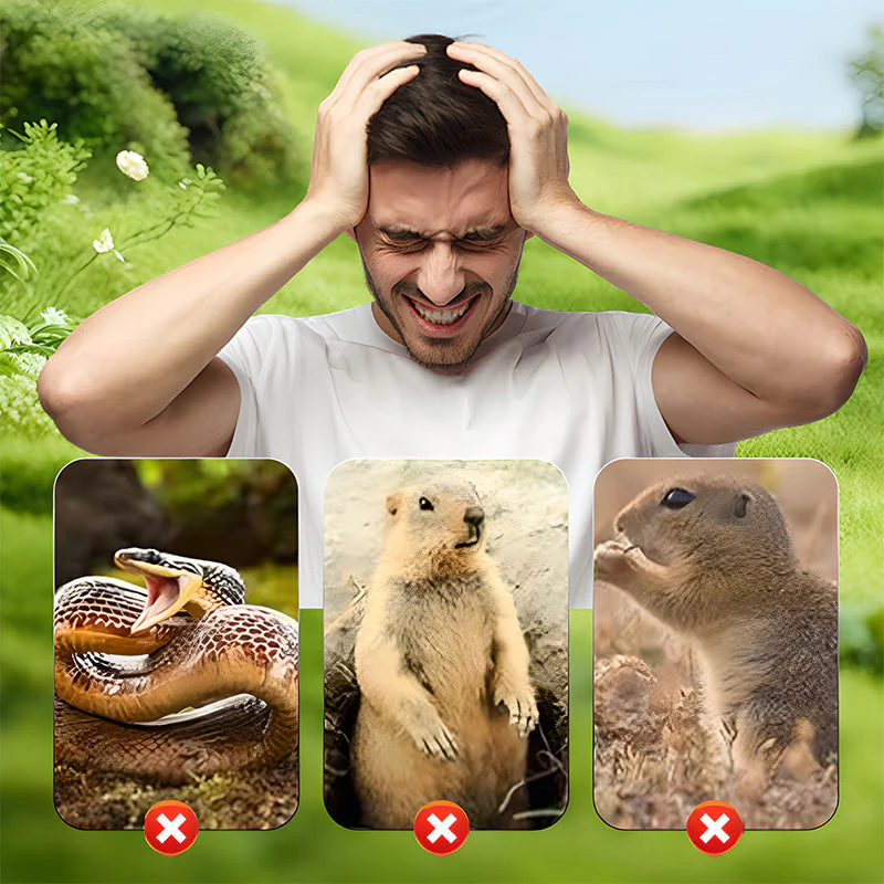 Miniatuur 4
