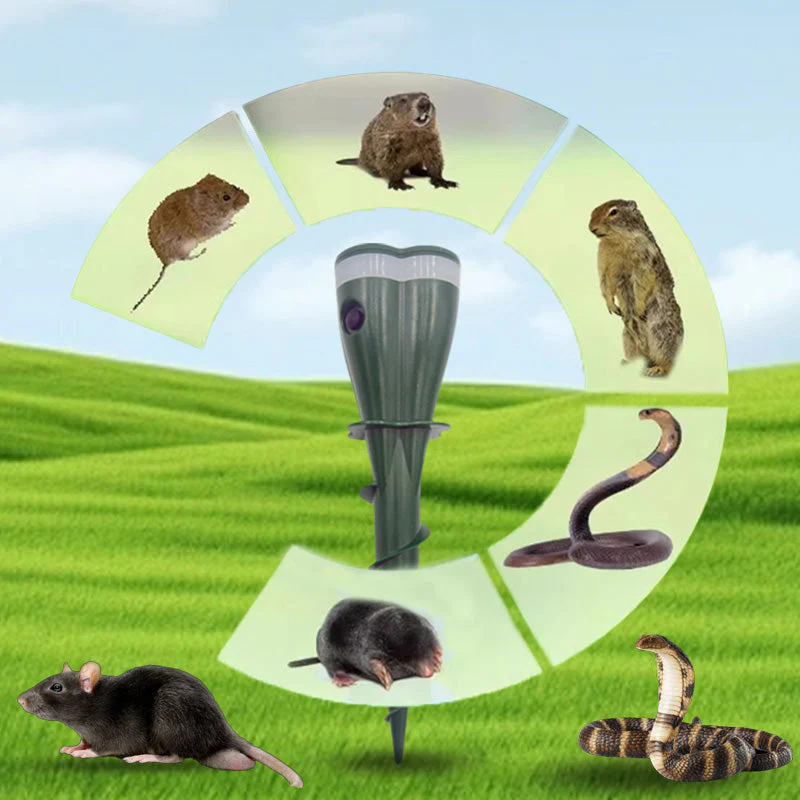 Miniatuur 6