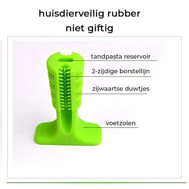 Miniatuur 4