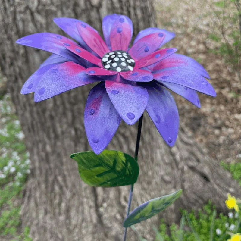 Miniatuur 5