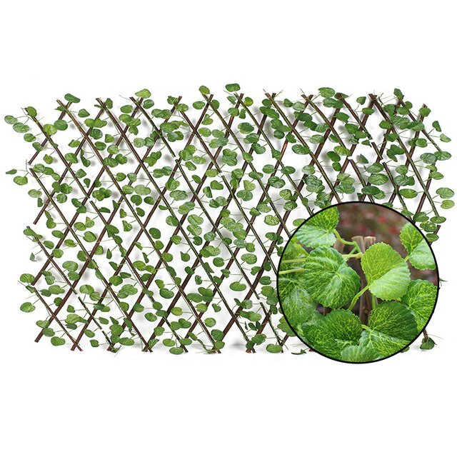 Miniatuur 5