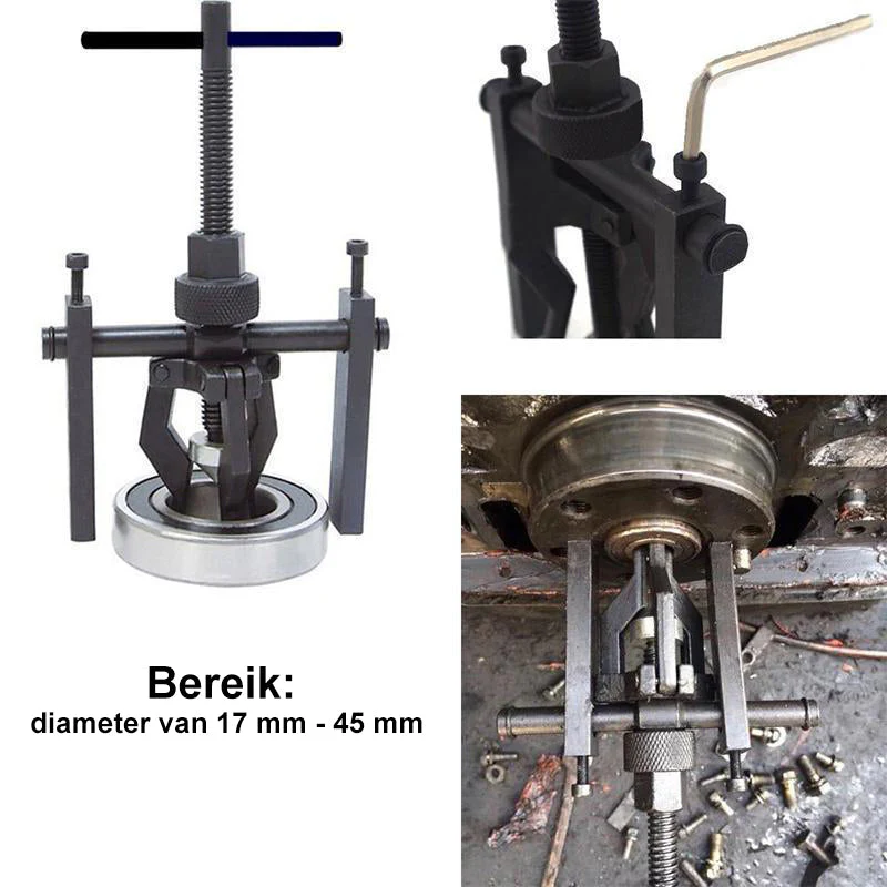 Miniatuur 5
