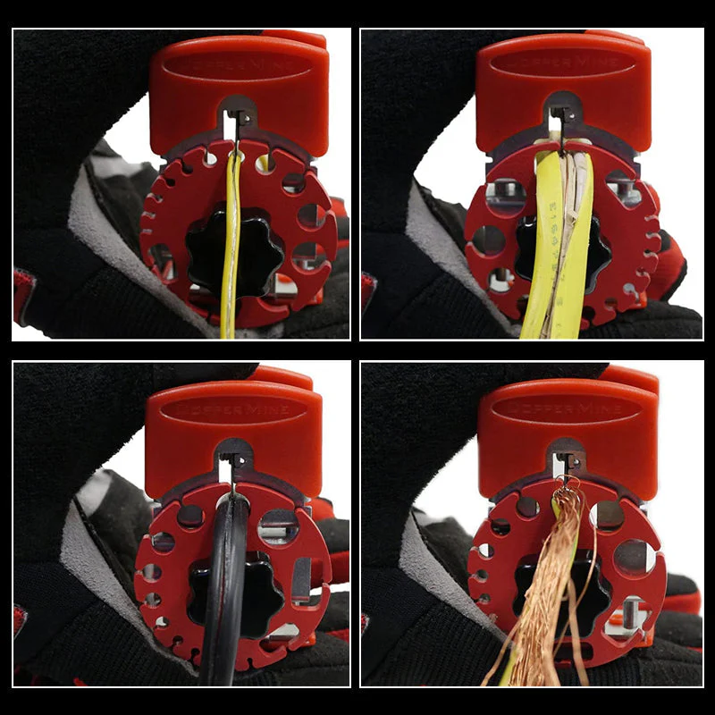 Miniatuur 9