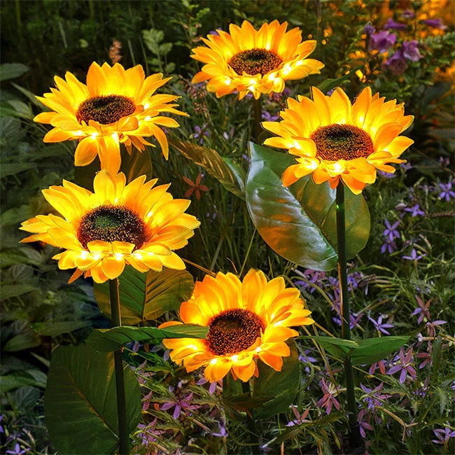 Miniatuur 12
