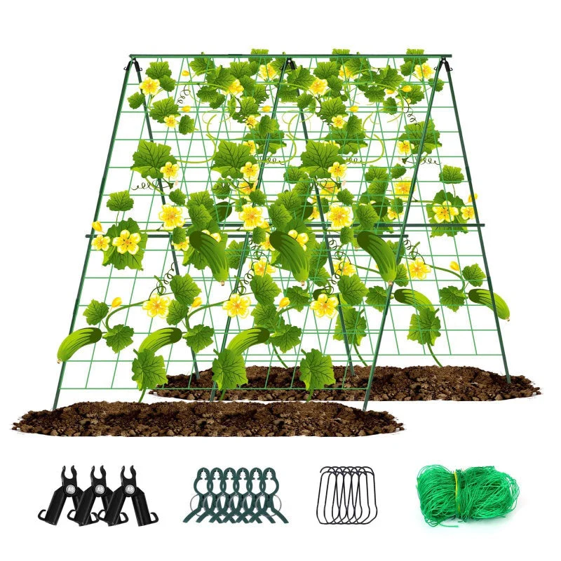 Miniatuur 6