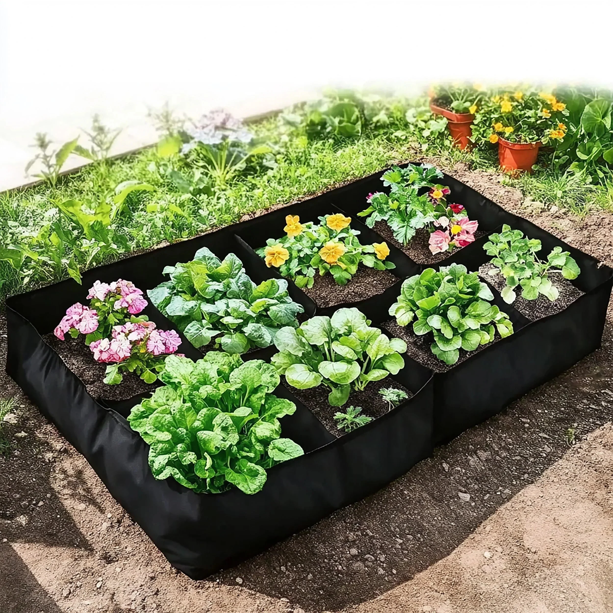 Miniatuur 13