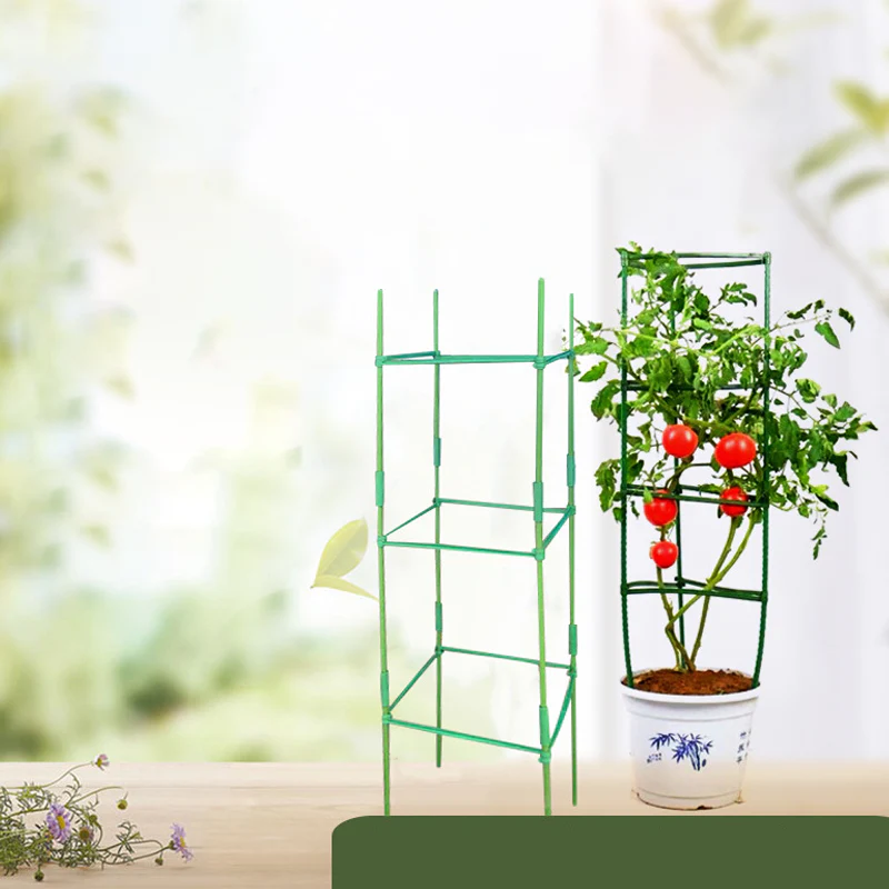 Miniatuur 10