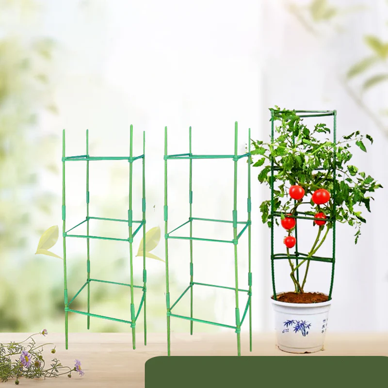 Miniatuur 9