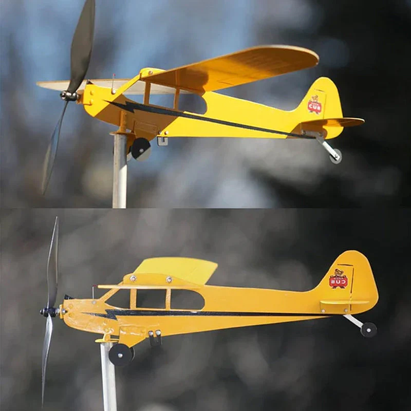 Miniatuur 6