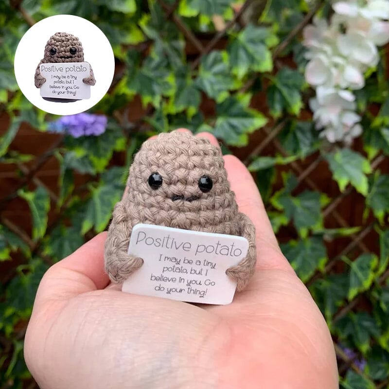 Miniatuur 3
