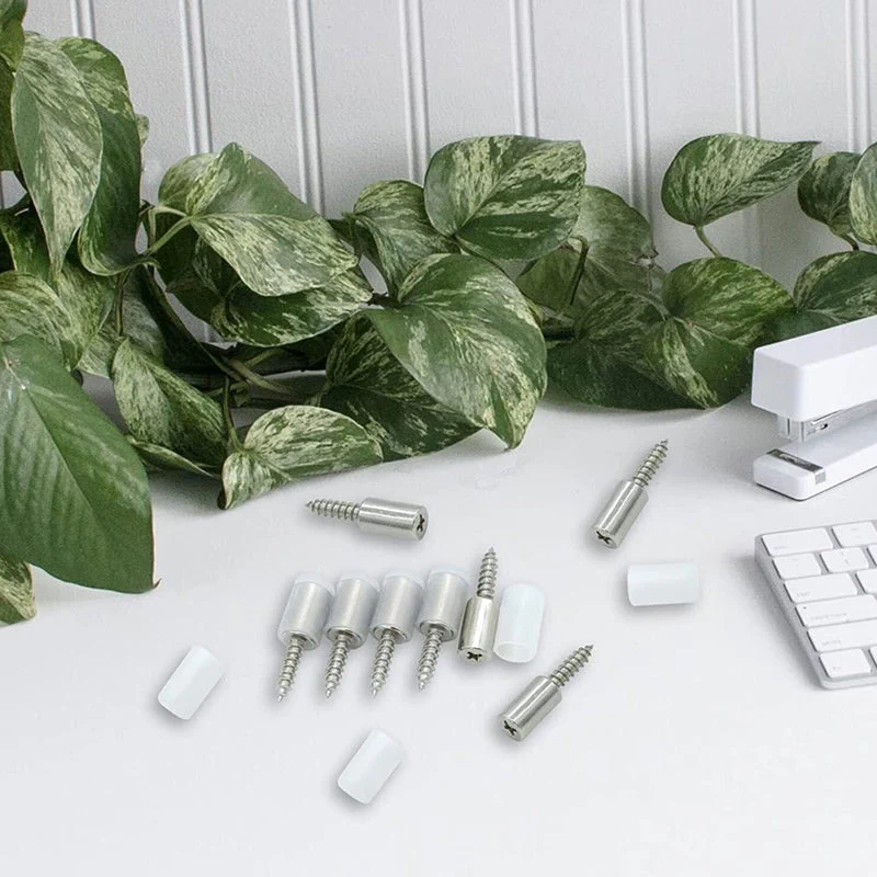 Miniatuur 5